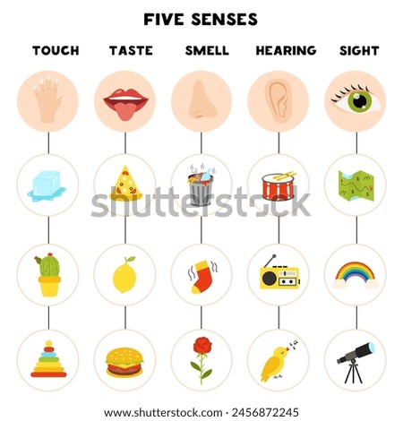 Five senses organs, vector illustration. Sight , hearing, taste, touch, smell.