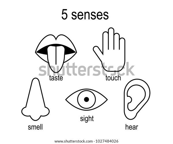 Five Senses Outline Icon Set Taste Stock Vector (Royalty Free) 1027484026