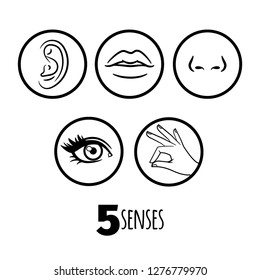 Five senses outline icons vector of set. Mouth and ear, human eye and nose illustration