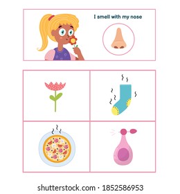 Five senses poster. Smell sense presentation page for kids. Great for activity book. Vector illustration