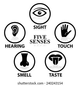 Five senses related vector icon set