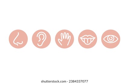 Five senses, sensory organs circle colorful icons. Smell, taste and nose, mouth and eye vector icon set. Editable stroke line.