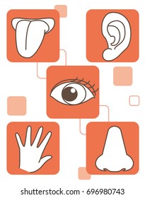 Five senses set / vector image of illustration material