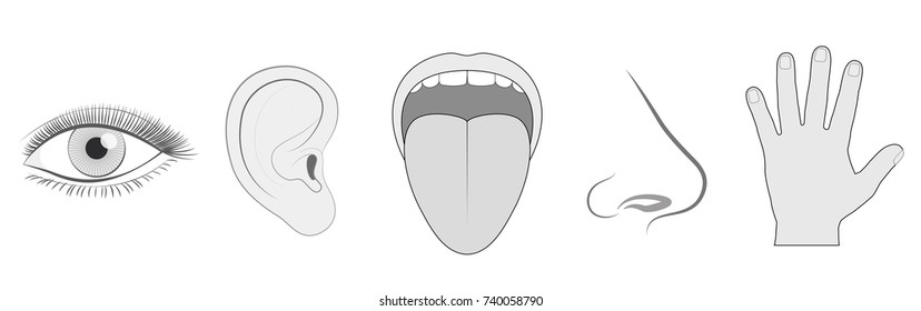 Five senses - sight, hearing, taste, smell and touch - schematic isolated vector icon illustration set of eye, ear, tongue, nose and hand on white background.
