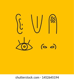 Five senses, sight, touch, smell, taste, set of doodles of human body parts, sketch. Hand drawn line vector.