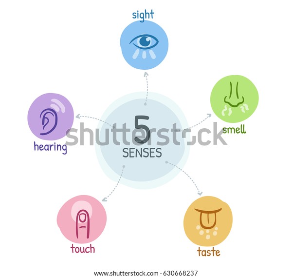 Five senses with simple hand drawn icons in a mind\
map design