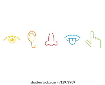 Five Senses Simple Icons. Vector Illustration Isolated On White Background