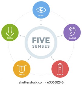 Five Senses With Simple Line Icons In A Mind Map Design