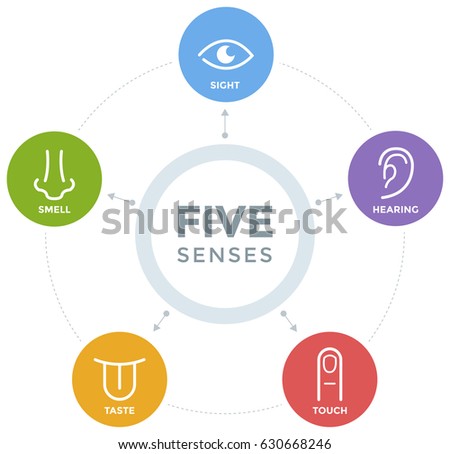 Five senses with simple line icons in a mind map design