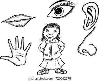  five senses, sketch