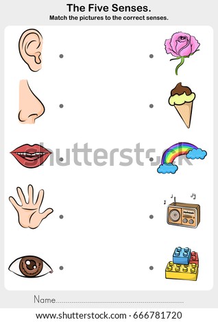 five senses - touch, taste, hearing, sight, smell.  - worksheet for education