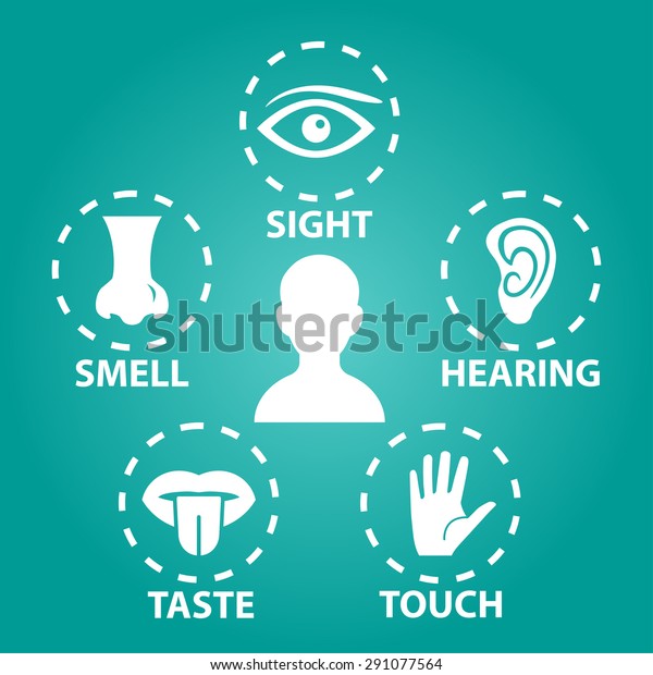 Five Senses Vector Icon Set Stock Vector (Royalty Free) 291077564