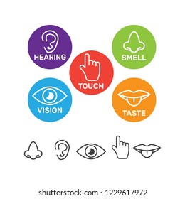 Five senses vector icons set isolated white. Smell and see, feel and hear illustration
