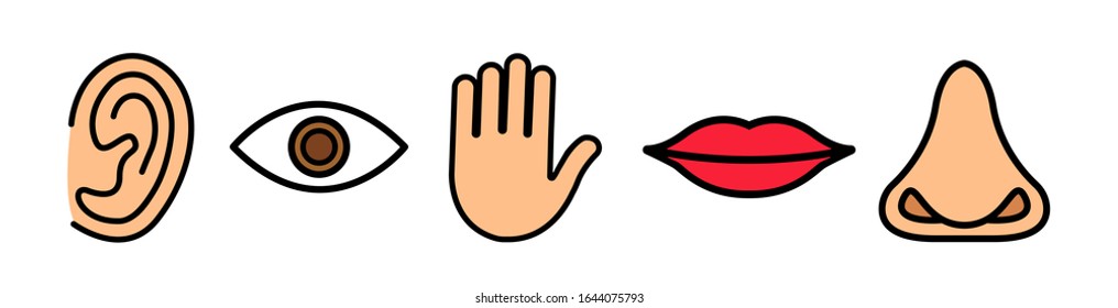 Five senses vector icons set. vision, hearing, touch, taste, smell