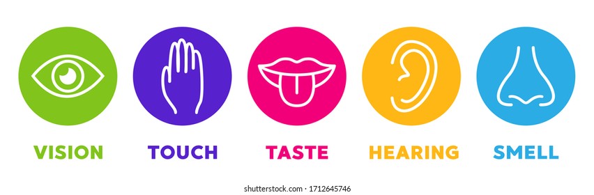 Five senses vector icons set. vision, hearing, touch, taste, smell