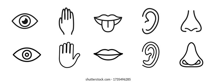 32,435 Sense icons Images, Stock Photos & Vectors | Shutterstock