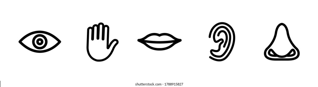 Five senses vector icons set. vision, hearing, touch, taste, smell