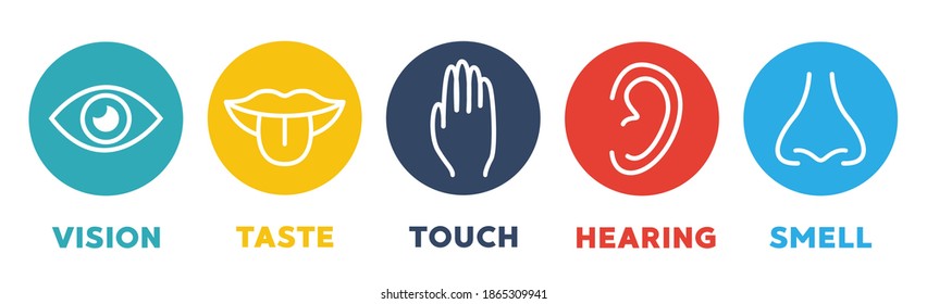 Five Senses Vector Icons Set Vision Stock Vector (Royalty Free ...