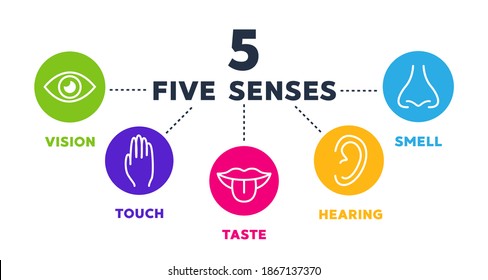 Conjunto de iconos vectoriales de cinco sentidos. visión, audición, tacto, gusto, olfato