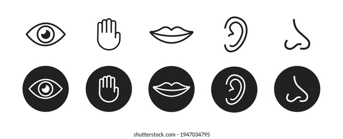 Five senses vector icons set. vision, hearing, touch, taste, smell