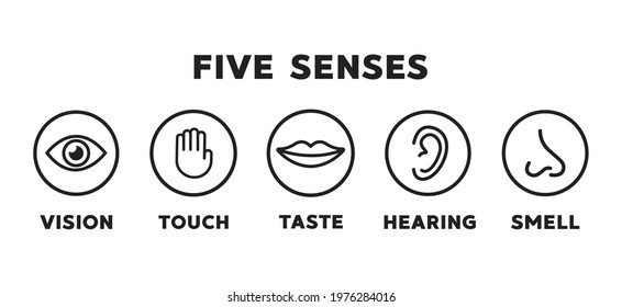 Five Senses Vector Icons Set Vision Stock Vector (Royalty Free ...