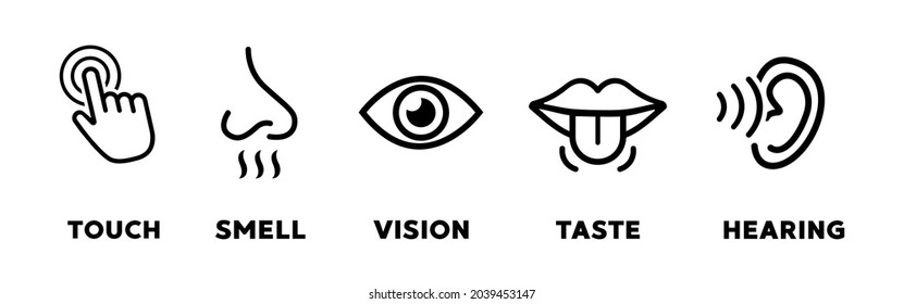 Five senses vector icons set. vision, hearing, touch, taste, smell