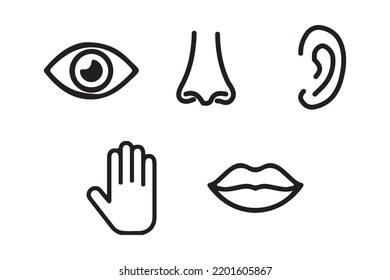 Five senses vector icons set. vision, hearing, touch, taste and smell.