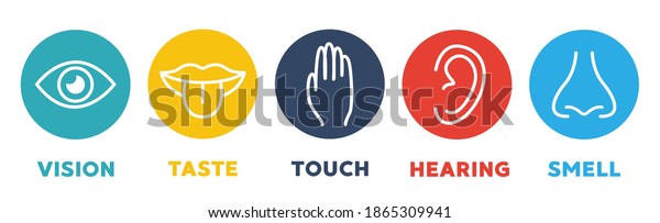 Five Senses Vector Icons Set Vision Stock Vector (Royalty Free ...