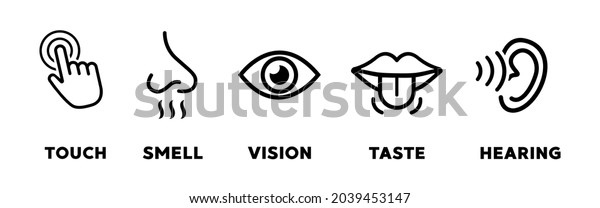 Five Senses Vector Icons Set Vision Stock Vector (Royalty Free ...