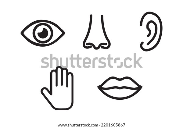 Five Senses Vector Icons Set Vision Stock Vector (Royalty Free ...