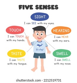 Five Senses Vector Illustration. Little Boy Showing Five Human Senses: Sight (eye), Touch (hand), Smell (nose), Hearing (ear), Taste (tongue). Five Senses Concept Clipart Cartoon. Educational Poster