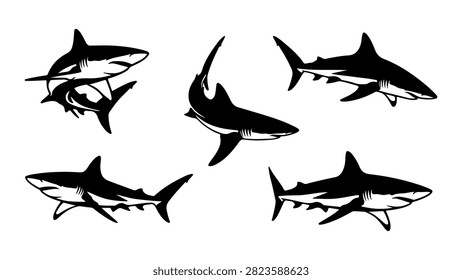 Five sharks swimming together in the ocean, showcasing marine life and predator behavior in their natural habitat.