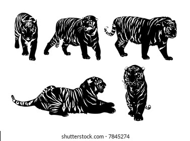 Five silhouettes of tigers.