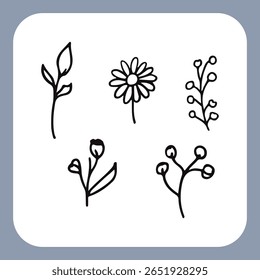 Cinco simples dibujos de líneas negras de flores y ramas