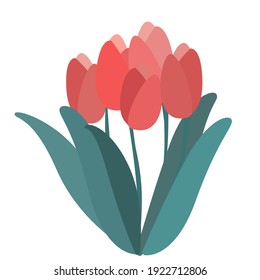 Five simple tulips vector illustration