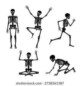 Five skeletons in various yoga poses, showcasing different human body positions.