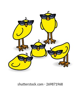 Five Small Cute Yellow Chicks wearing Retro Ladies Sunglasses Staring towards camera on White Background