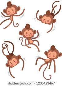 Five species of monkey poses