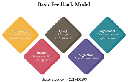 Five steps of Basic Feedback Model with description placeholder in an Infographic template