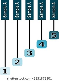 five steps or options infographic. vector illustration.