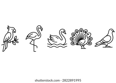 Five stylized birds including parrot flamingo swan peacock and pigeon illustrated simply