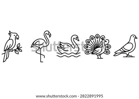 Five stylized birds including parrot flamingo swan peacock and pigeon illustrated simply
