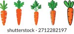 Five stylized carrots with green tops on a white background vegetable food