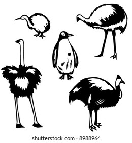 Five stylized vector illustrations of flightless birds