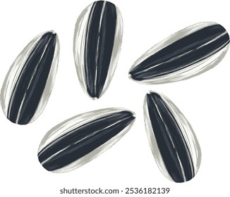 Five Sunflower seeds illustration isolated