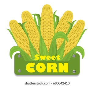 Five sweet corn is ripe with leaves isolated on a white background. Label. Vector illustration.