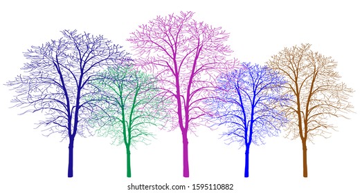 Five trees of different colors. Trees without leaves. Bare tree trunks with branches without leaves. Trees on a white background. Large plants for decoration. Many branches without leaves.