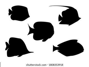 Cinco siluetas de peces tropicales aisladas de fondo blanco. Ilustración del vector