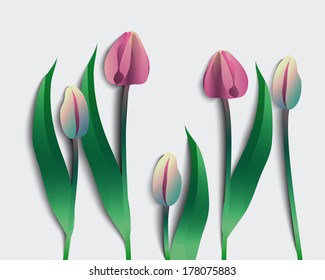 five tulips grow in honor of spring