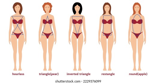 five types of female figures in bathing suits. Vector flat illustration